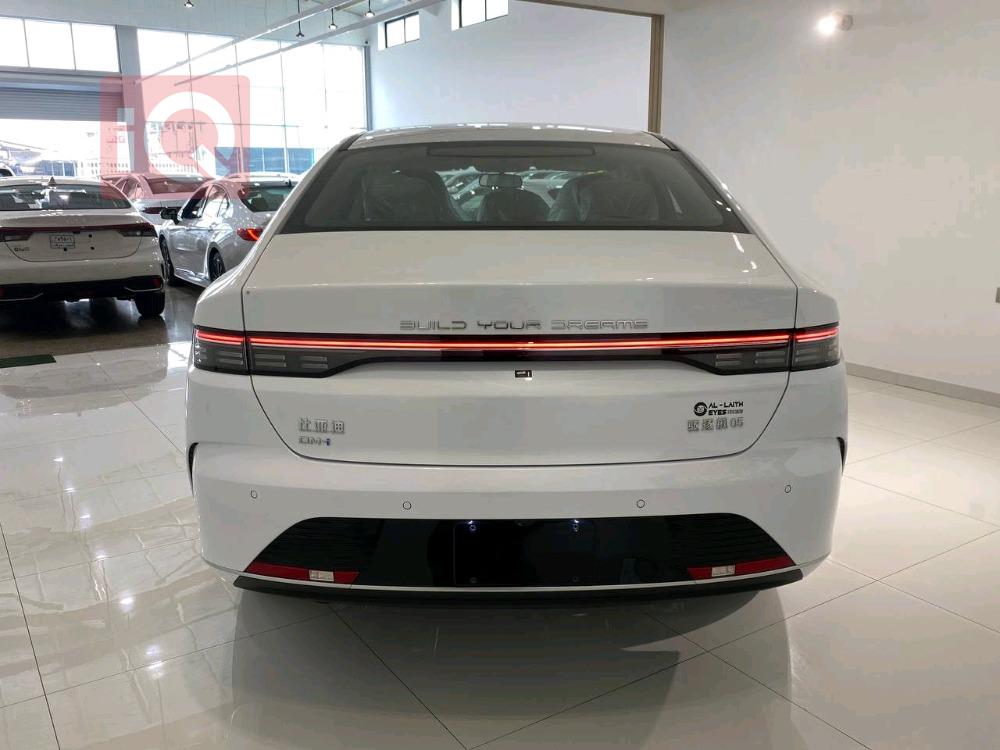 بي واي دي ديستروير 05